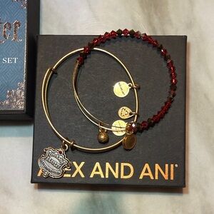 Alex and Ani Harry Potter Gryffindor Set